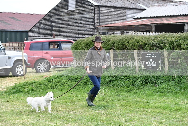 WJ5_9183 - Class 1 Best Cross Breed / Heniz 57