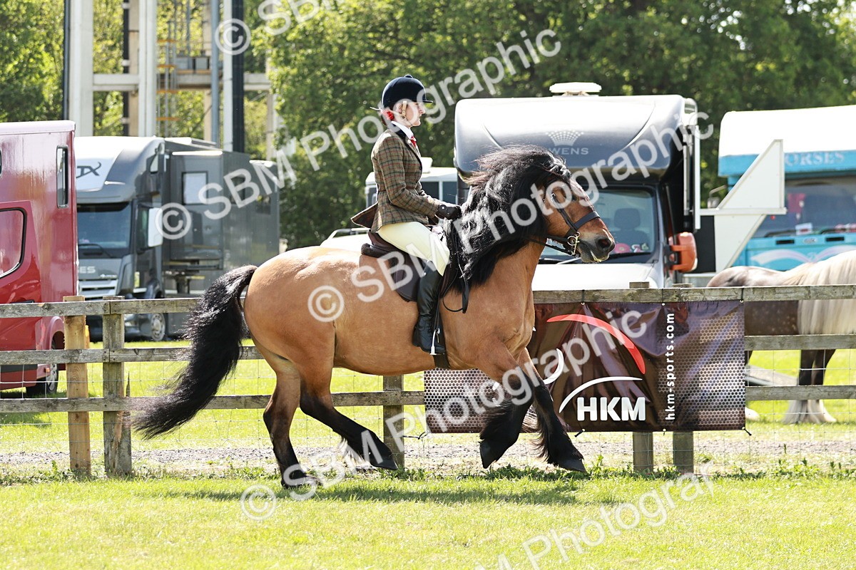 SBM_07047 - Class 26-30 - Mountain and Moorland Ridden