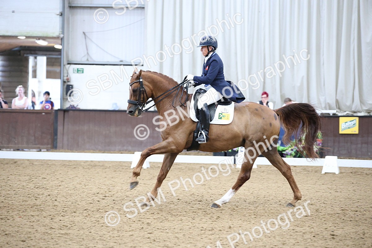 SBM_004753 - Class 9 - FEI Inter 1 Gold - 16.59-17.47
