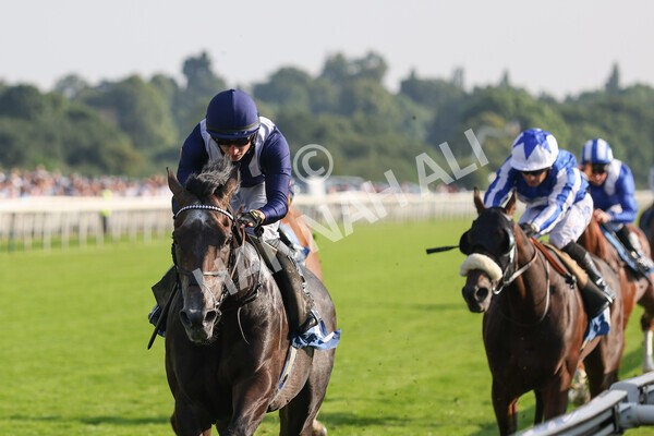 yr05092021r6-10 - Race 6 4.50pm Hanson Spring Stakes