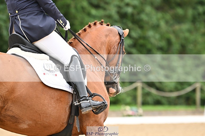 240811-102851-04754 - 156-Stacey.Escrig-Joie.De.Vivre