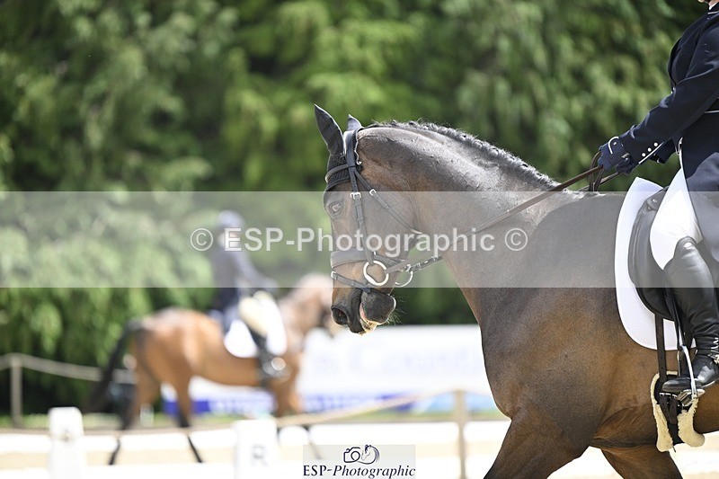 240523-130653-04664 - 102-TYNAN_COOLEY-Lucy_Stimson