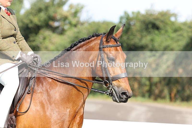 JPP_0620 - Class 16: Cornish Combination Young Rider