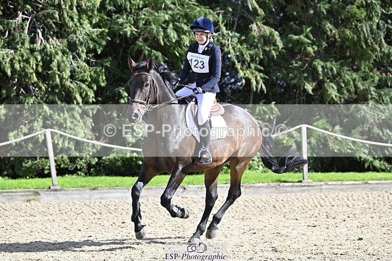 251005A-142320-04385 - Cls 09 Nov 80-85cm