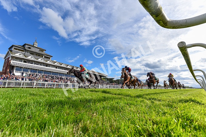 160624-Race 6-Letsbefrank-2-3 - Race 6