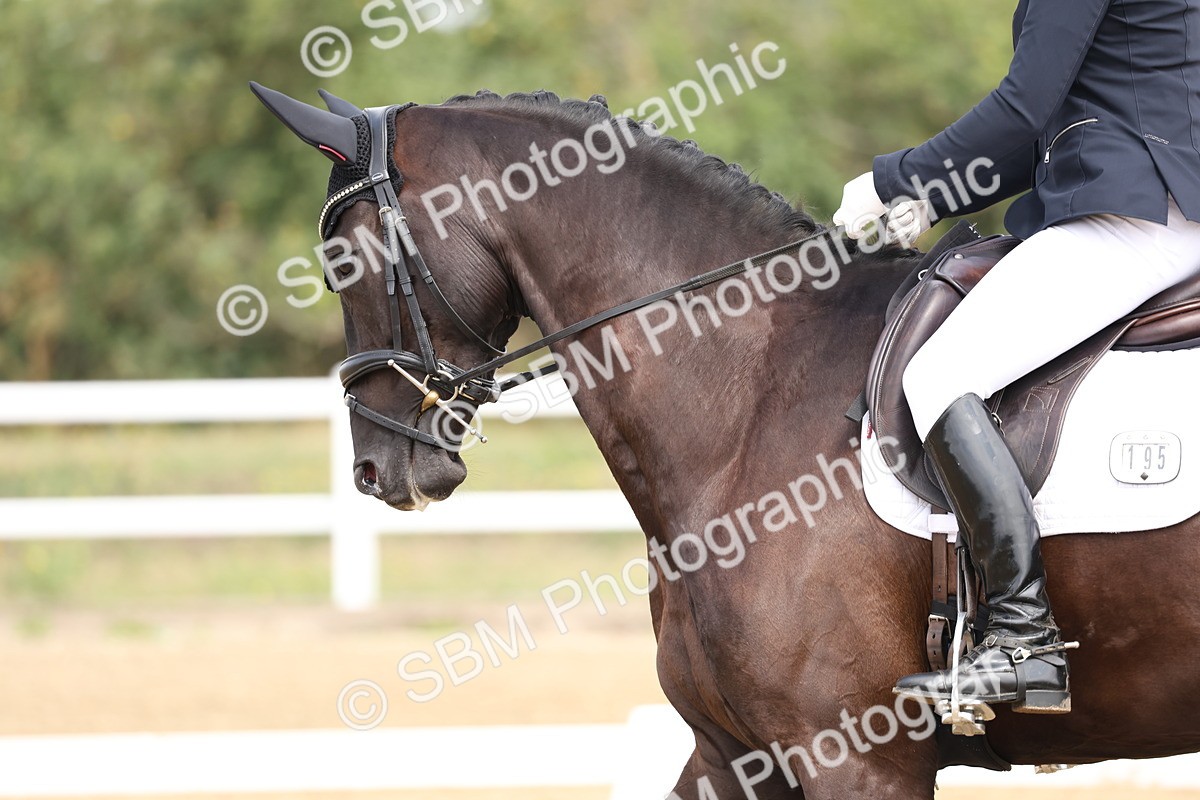 SBM_006201 - Class 6 - novice 6 - 11.50-12.46