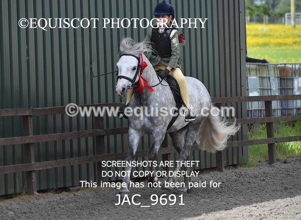 JAC_9691 - CLASS 1 Nursery Novice Working Hunter (0.50m)