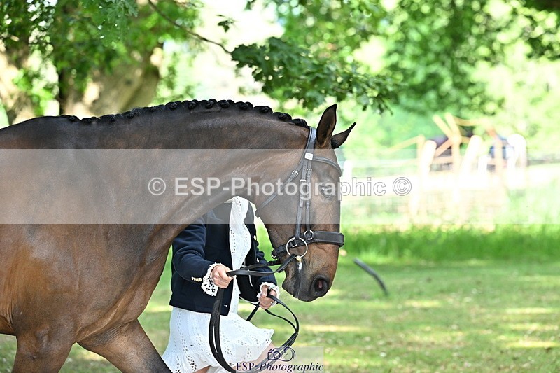 250521A-160044-00862 - C-279-Kitty.King-DASSETT.FLIGHT.PATH