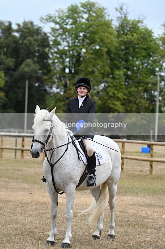 WJ7_0985 - Class 7 Riding Club Show Horse