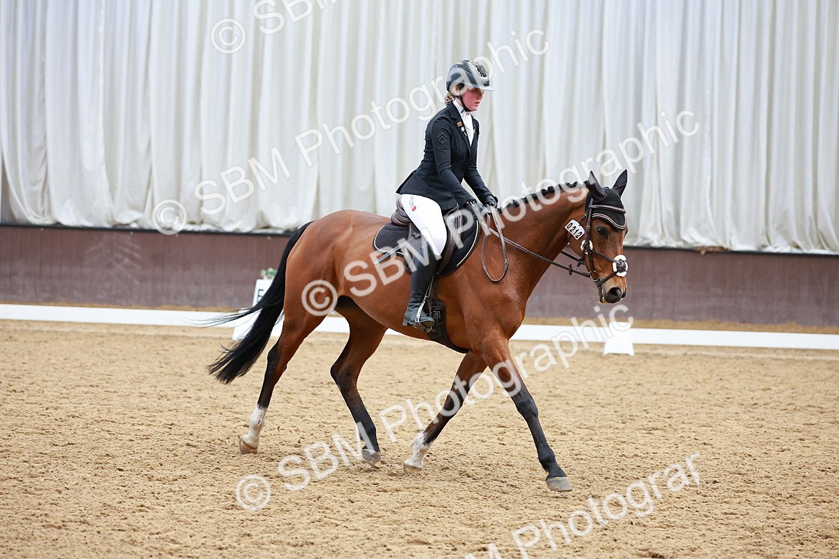SBM_003356 - Class 11 - Novice 2