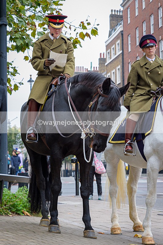 NGP_8194 - 2024 Animals in War Remembrance Gathering