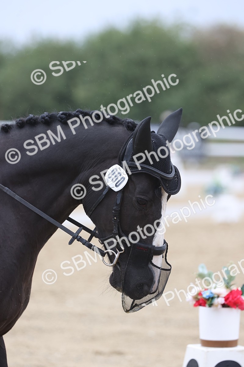 SBM_004372 - Class 9 - Novice 3 Champs