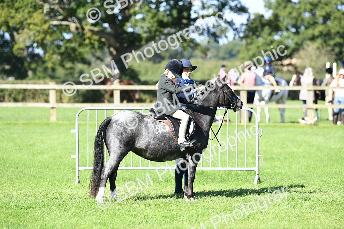 SBM_39563 - S18 - Novice & Newcomers Lead Rein Pony