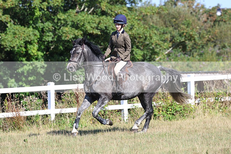 3E7A5523 - Class 3: Working Hunter 70cm
