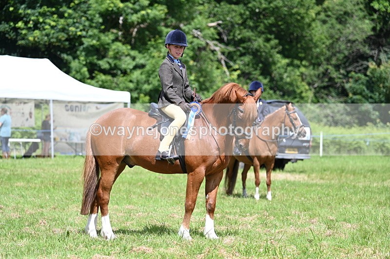 WJ7_1796 - Class 9 Pony Club Pony