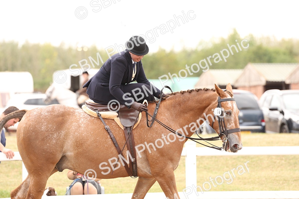 SBM_16424 - Class 211 - Best Side Saddle Horse - Pony