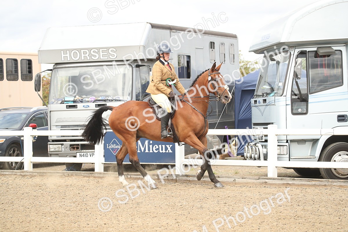 SBM_16586 - Class 506b - Working Veteran - 50cm (20+)