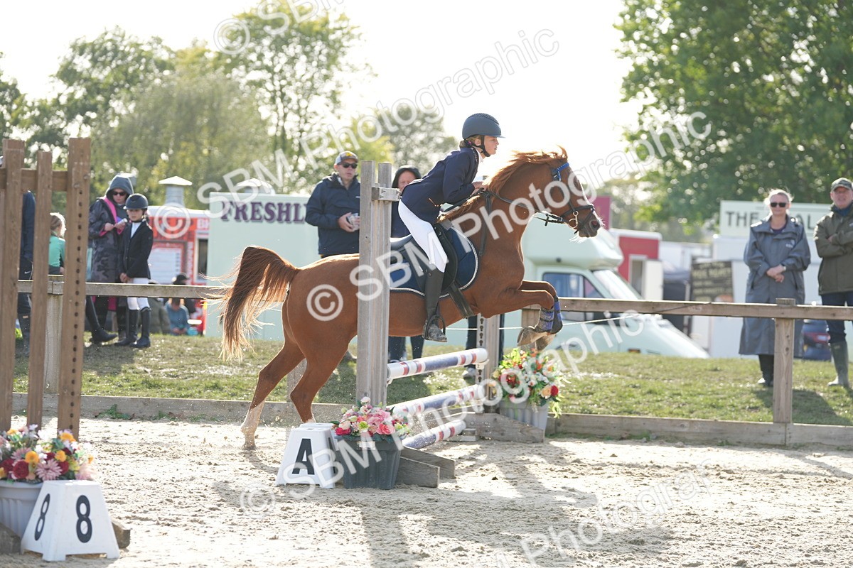 SBM_51156 - J8 - Junior Pony 65cm Championship