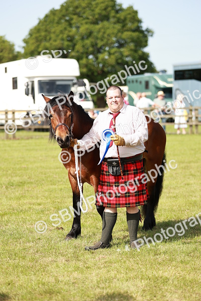 SBM_01605 - Class 14-23 - Mountain & Moorland In Hand Non Welsh