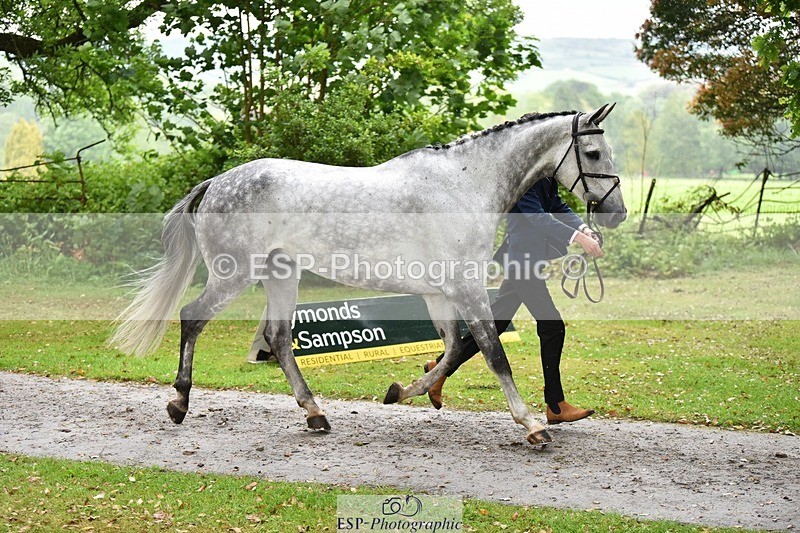 240522-161052-00761 - 157-AIR_MAIL-Daisy_Amin