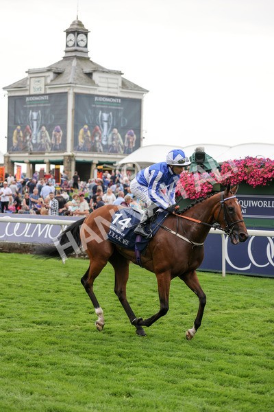 yr20082021r4-109 - Race 4 3.35pm Coolmore Wootton Bassett Nunthorpe Stakes (British Champions Series Race)