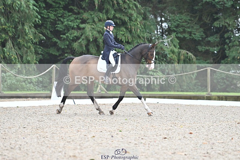 231019-104542-01956 - 103-BEECH.HILL.KIKO.CLOVER-Harriet.Blair-DR