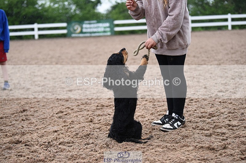 240518A-131400-01273 - Cls 7 Child Handler