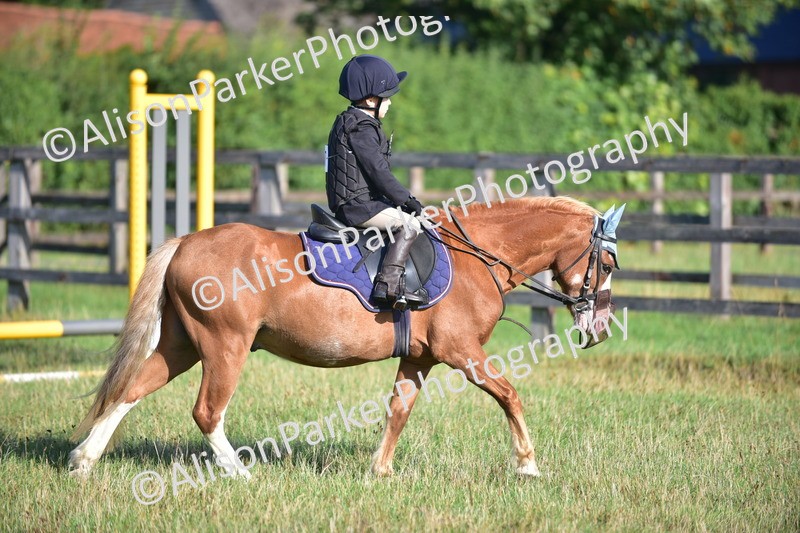 20260906-0468 - Class 6 - Minimus Jumping