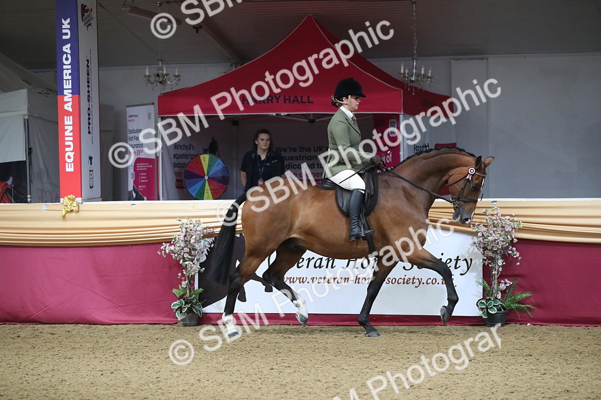 SBM_10330 - Class 102 Equitation (best rider) Adult