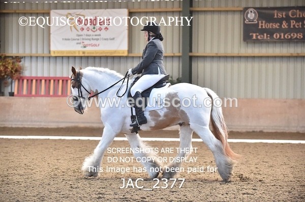 JAC_2377 - CLASS 3 NOVICE 1