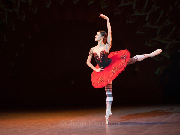  - Nicoletta Manni and Julian McKay - Don Quixote