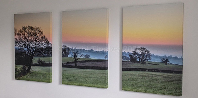  - Split Canvas