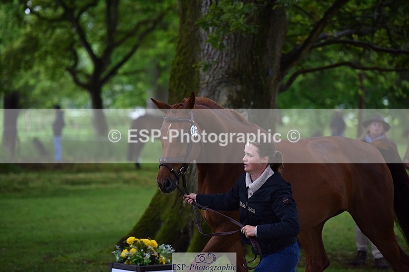 240522-164504-01128 - 219-HIT_CHAN_BOY_ALFA-Valentine_Emsens