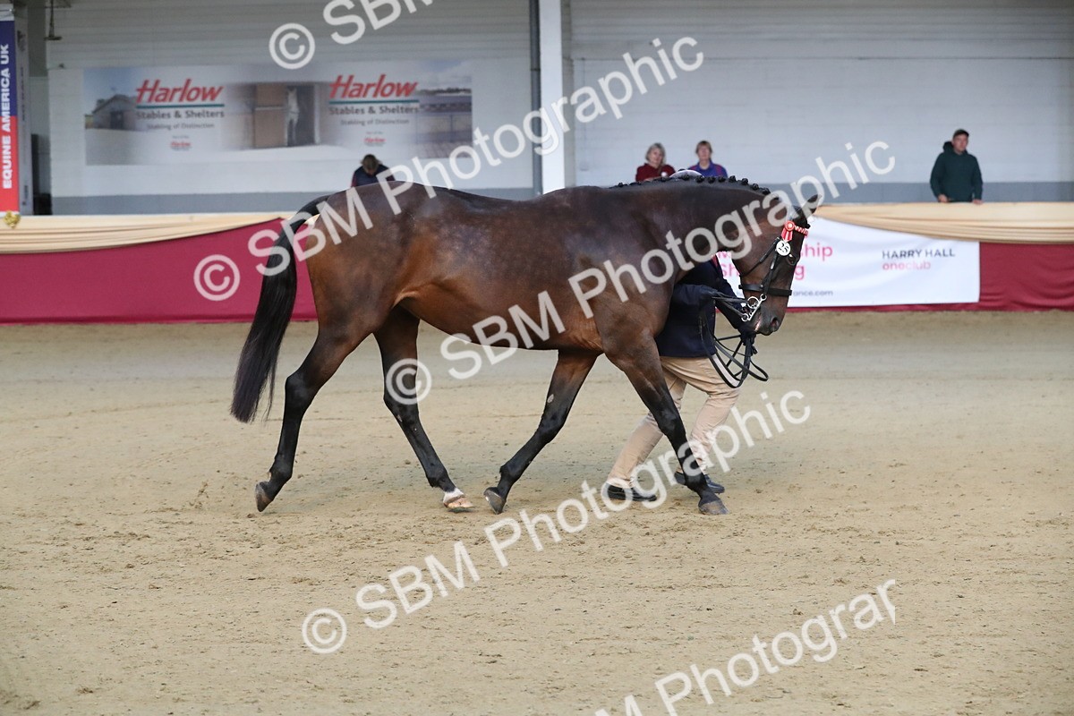 SBM_00291 - Class 1a - Area IH Diamond