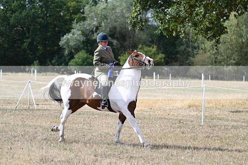 WJ7_7504 - Class 14 Ridden Coloured