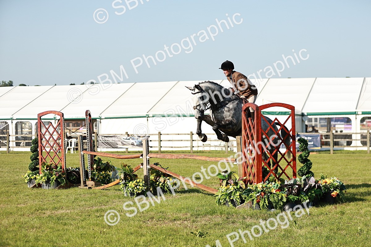 SBM_19969 - Class 115-116 - LIHS BSHA Rising Star Working Hunter & Show Horse