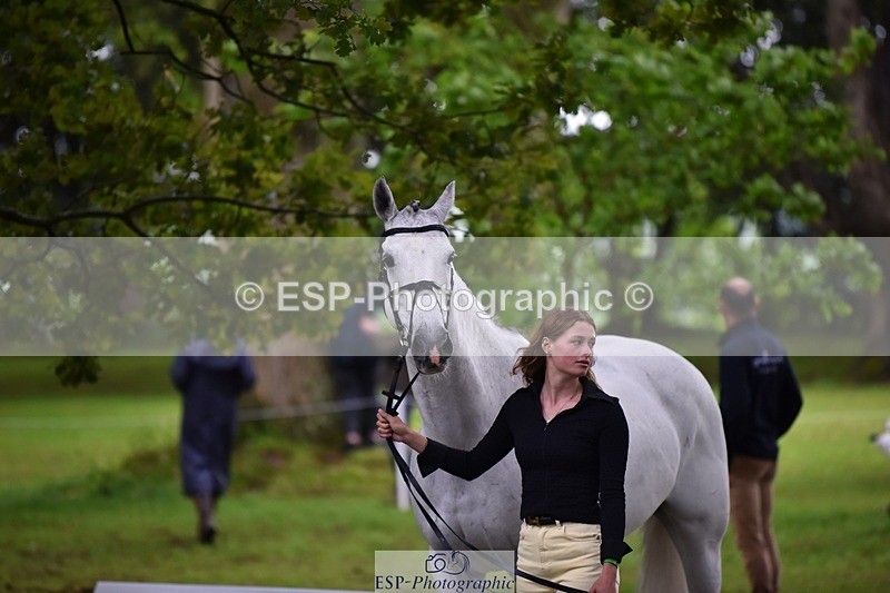 240522-161528-00816 - 163-BRECHFA_BARUCH-Harriet_Beeby_Wynn