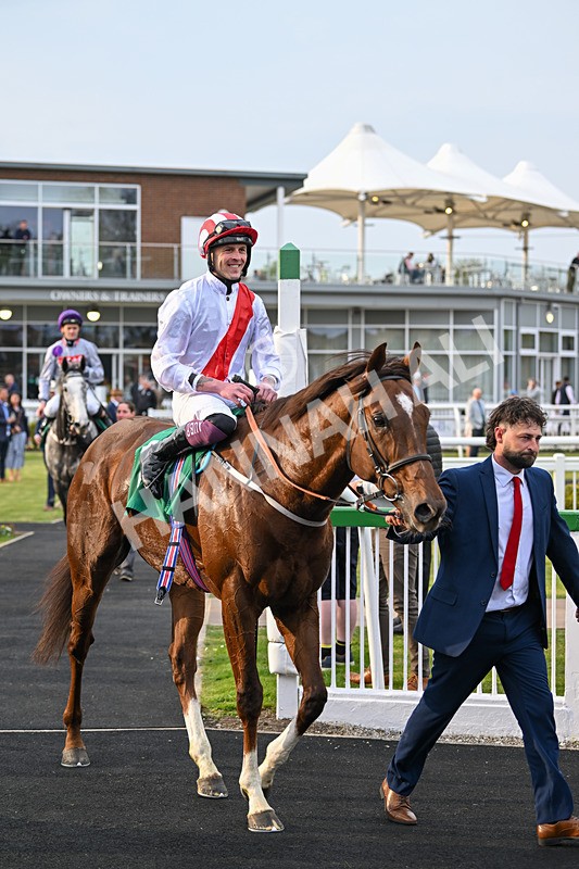 120425-Race 5-Majestic Warrior-1384 - Race 5