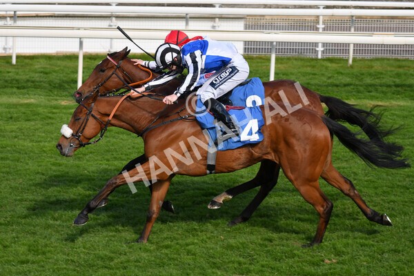 yr13052021r7-28 - Race 7 4.50pm Autohorn Stakes