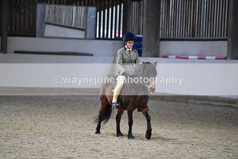 WJ5_8596 - Class 14 Novice Ridden/Rider
