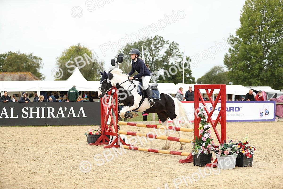SBM_59594 - J25 - Junior Horse 80cm Championship