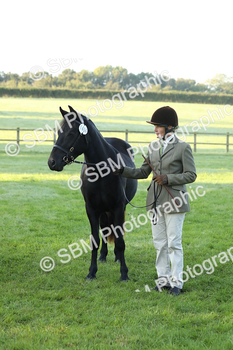 SBM_57856 - S42 - Youngstock