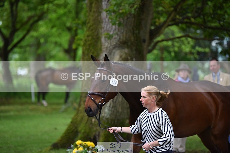 240522-170152-01335 - 274-JACK_OF_CLUBS-Rosalind_Canter