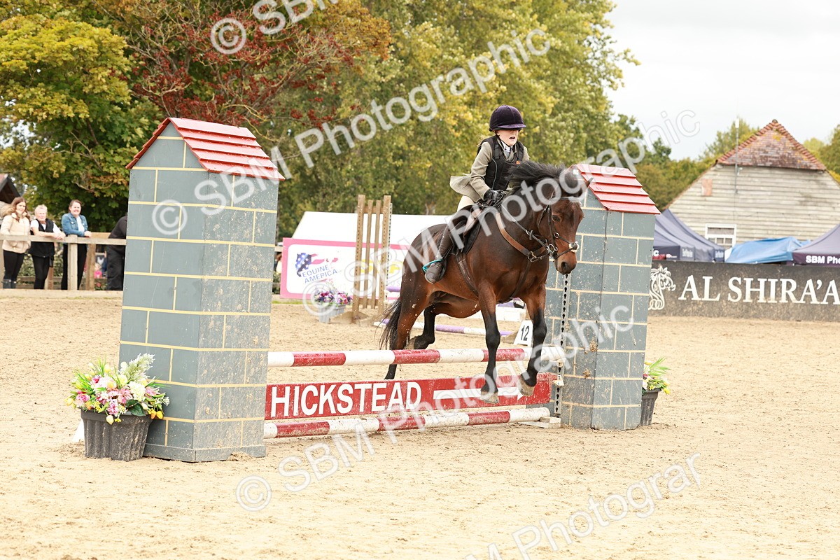 SBM_63648 - J12 - Junior Pony 55cm Championship