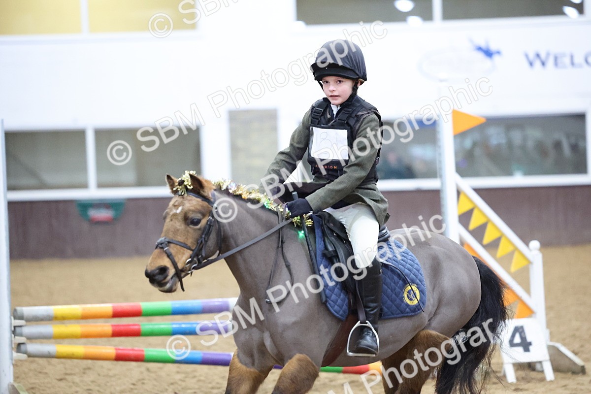 SBM_001132 - Class 3 - Christmas Tree Stakes - 60cm