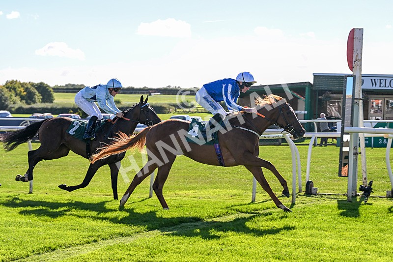 300926-Race 2-Gold Key-5999 - Race 2 2.32pm EBF Maiden Stakes
