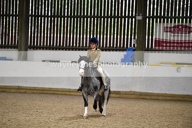 WJ5_8149 - Class 14 Novice Ridden/Rider
