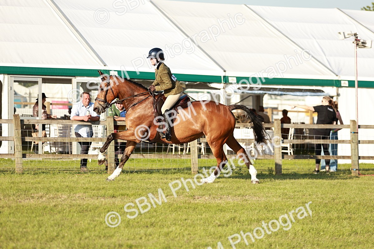 SBM_20502 - Class 117-119 - Sport Horse Working Hunter