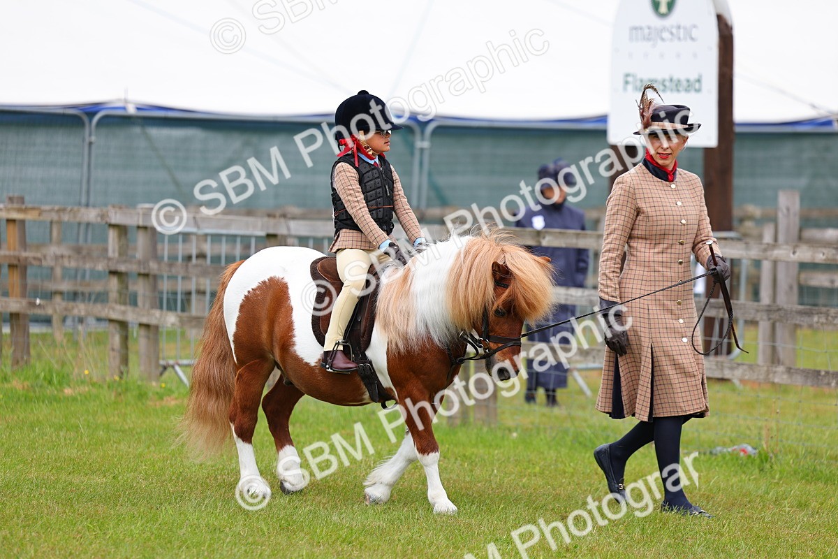 SBM_08069 - Class 42-43 - LIHS BSPS Heritage Working Sports Pony