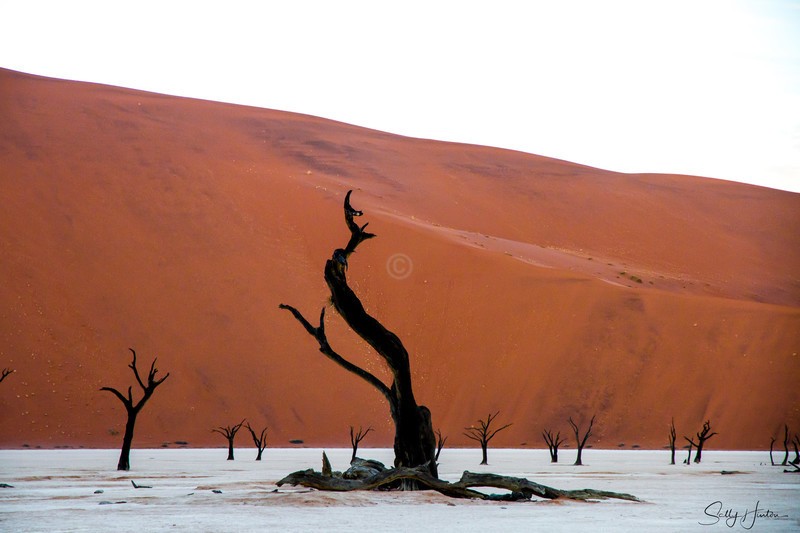 Deadvlei 2 - Landscapes